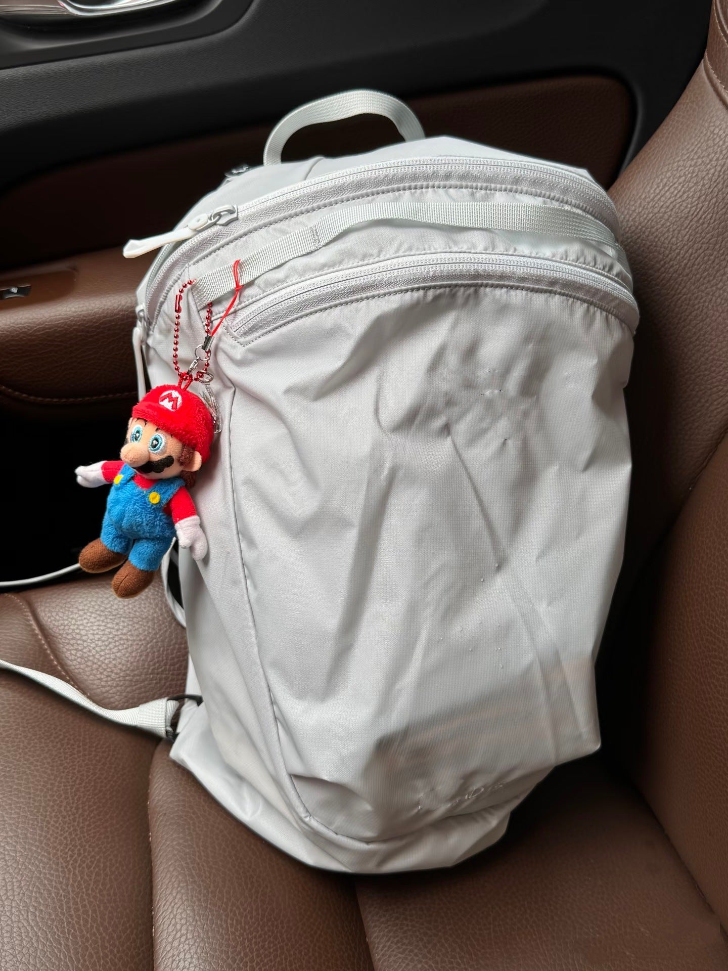 Fashion Chicken Skeleton Waterproof Embroidered Lightweight Leisure Backpack