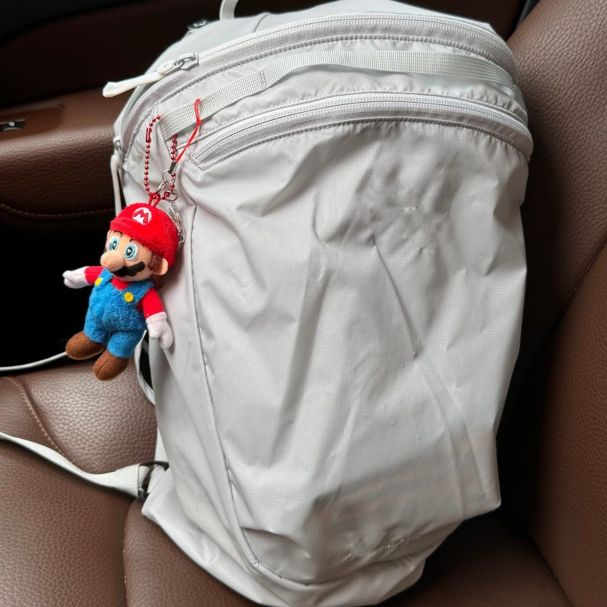 Fashion Chicken Skeleton Waterproof Embroidered Lightweight Leisure Backpack