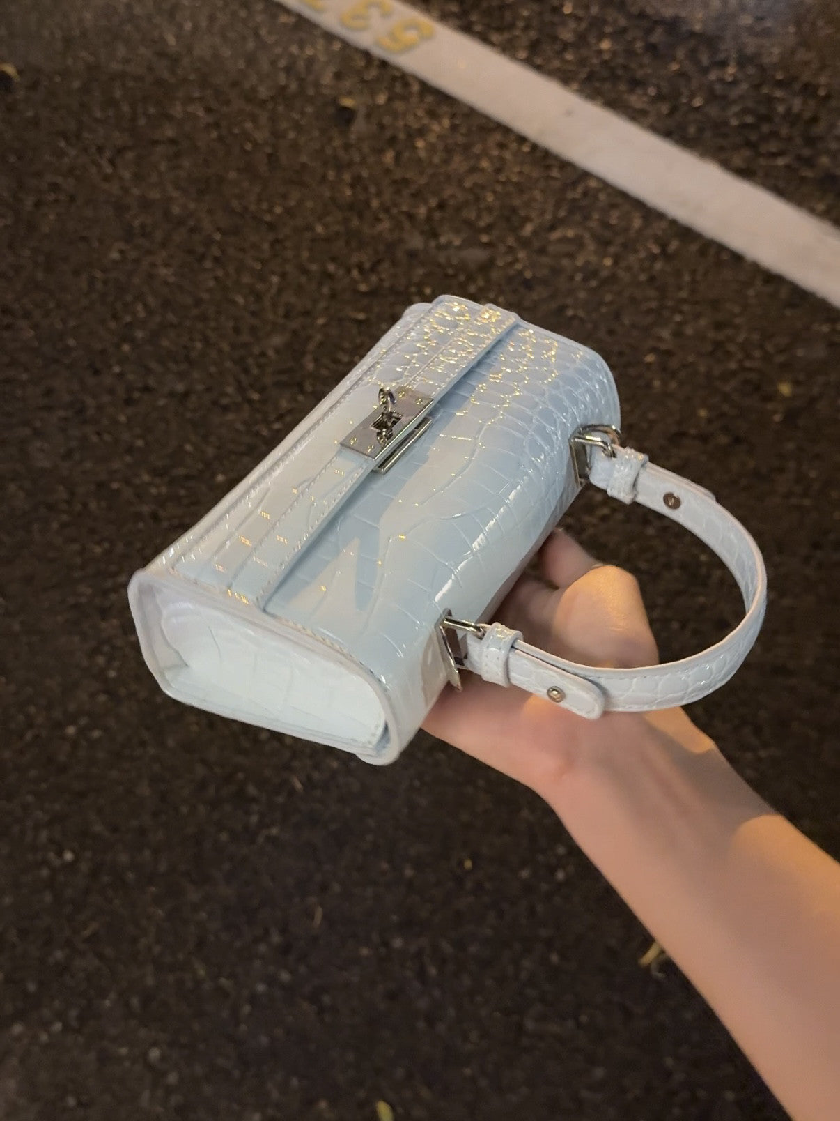 Women's Korean Style French Stick Alligator Print Summer Small Square Bag